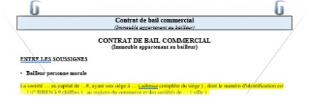 contrat type bail commercial