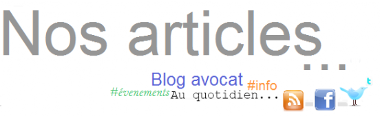 nos articles blog avocat lyon