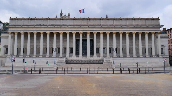 Cour d'appel de LYON - Timo RAINIO Avocat (auteur)