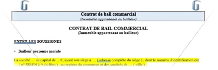 contrat type bail commercial